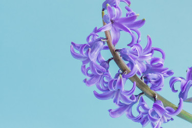 Similar image 21164656