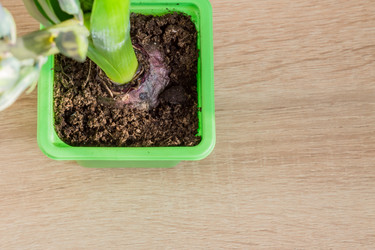 Similar image 21164659