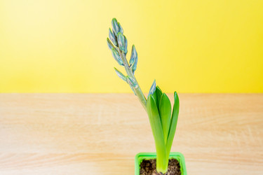 Similar image 21164663