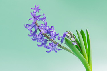 Similar image 21164666