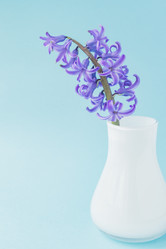 Similar image 21164672