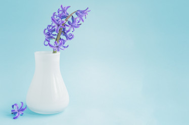 Similar image 21164674