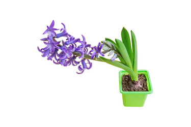 Similar image 21165187