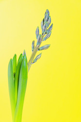 Similar image 21165190