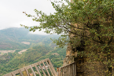 Similar image 21142904