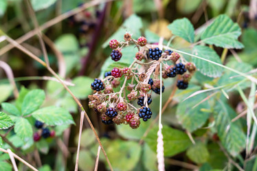 Similar image 21155019