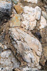 Similar image 21142922