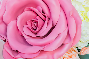 Similar image 21165758