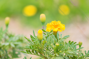 Similar image 21165759