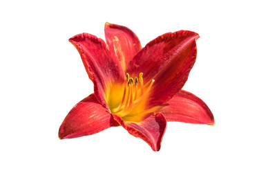 Similar image 21165764