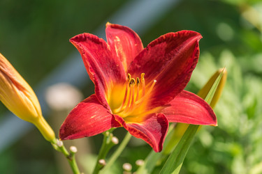 Similar image 21165773