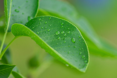 Similar image 21165776