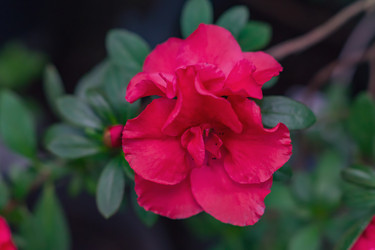 Similar image 21165781