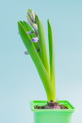 Similar image 21166166