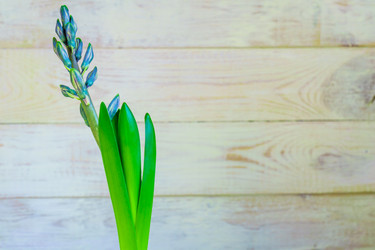 Similar image 21166167