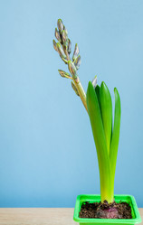 Similar image 21166170