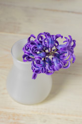 Similar image 21166174