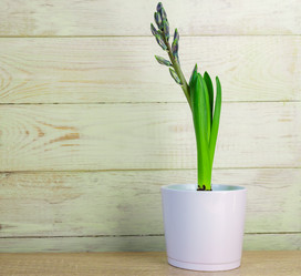 Similar image 21166175