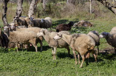 Similar image 21167169