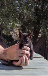 Similar image 21186673