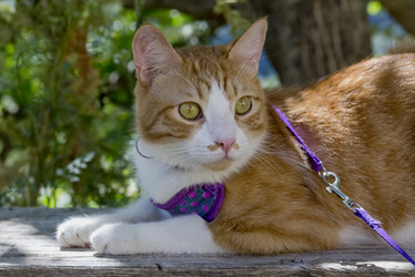 Similar image 21150131