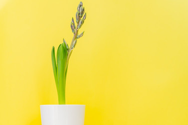 Similar image 21165784