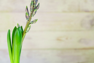 Similar image 21165787