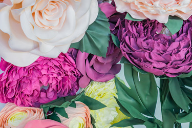 Similar image 21165816