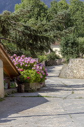 Similar image 21150136