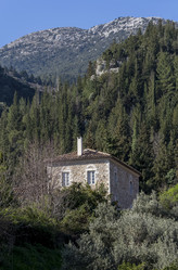 Similar image 21154909