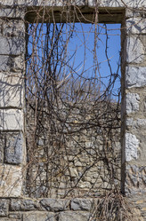 Similar image 21186680