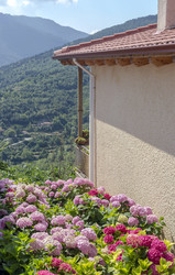 Similar image 21186682