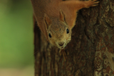 Similar image 21142146