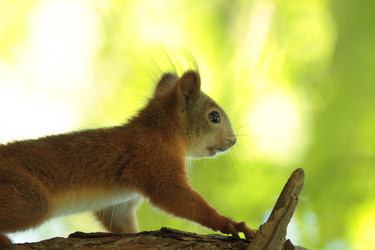 Similar image 21142147