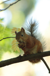 Similar image 21142148