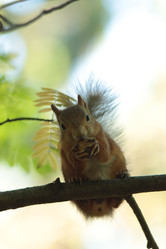 Similar image 21142149