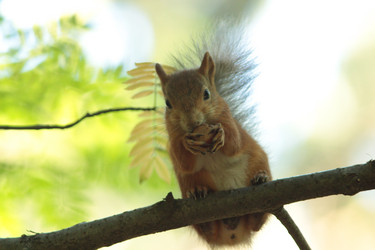 Similar image 21142150