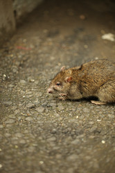 Similar image 21142151