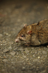 Similar image 21142152