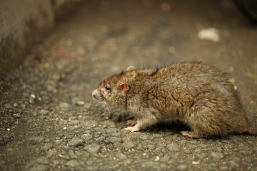 Similar image 21142153