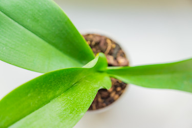 Similar image 21165235