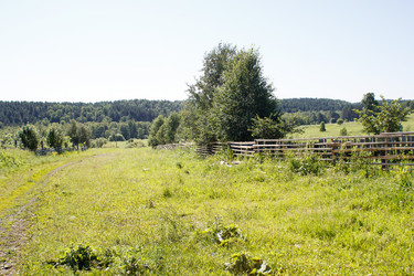 Similar image 21144649