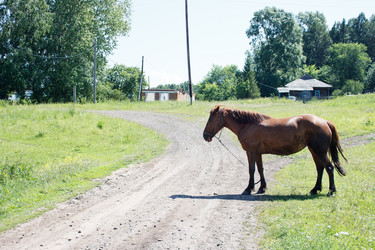 Similar image 21144850