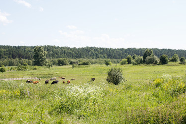 Similar image 21144852