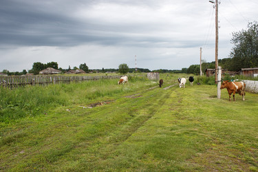 Similar image 21144865