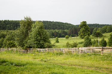 Similar image 21144871