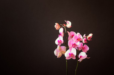 Similar image 21142208