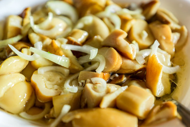 Similar image 21165495