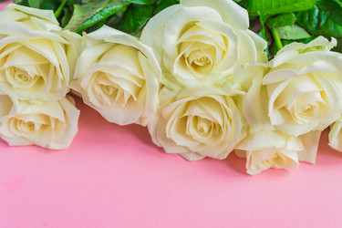 Similar image 21165835