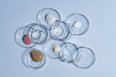 Similar image 21165854